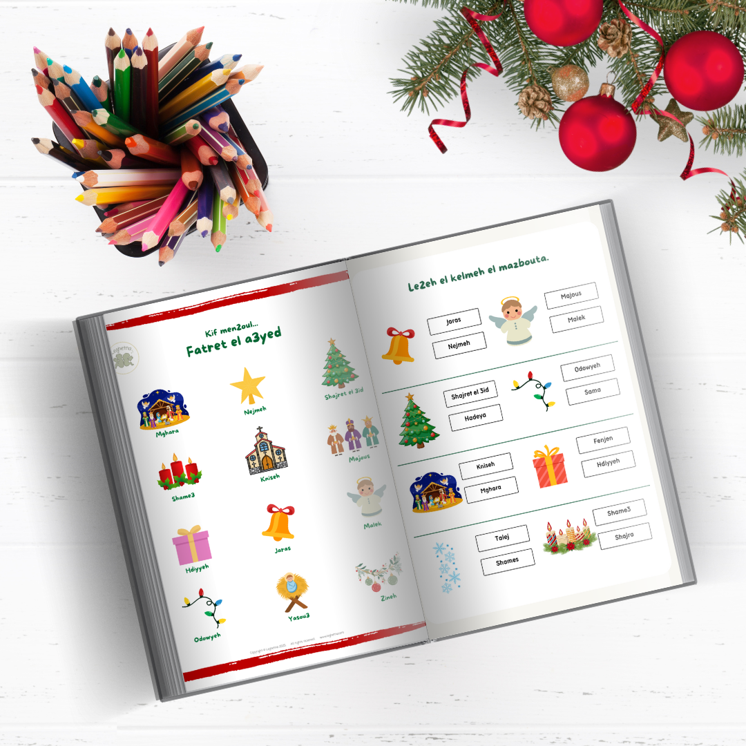 Pre-sale | Christmas Activity Book