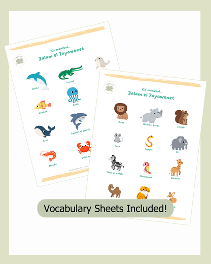 Black Friday Sale | 2 Workbooks